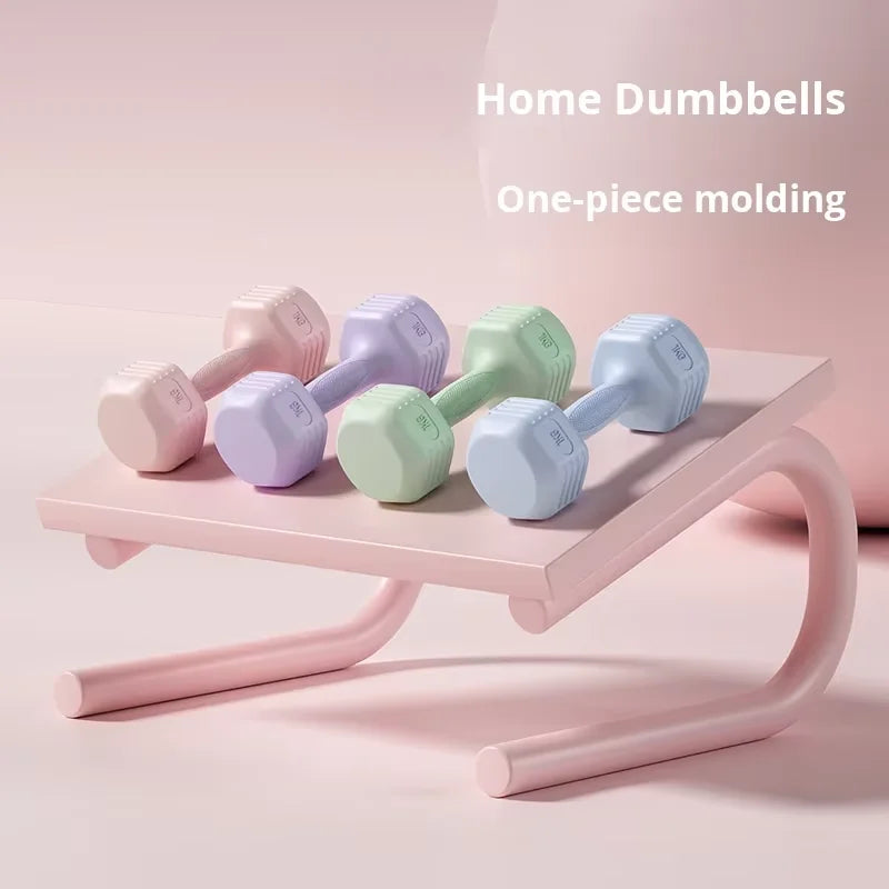Women's Fitness Home Dumbbell Integrated Arm Muscle Training Belly Slimming Rubber Coated Small Dumbbells FKD001