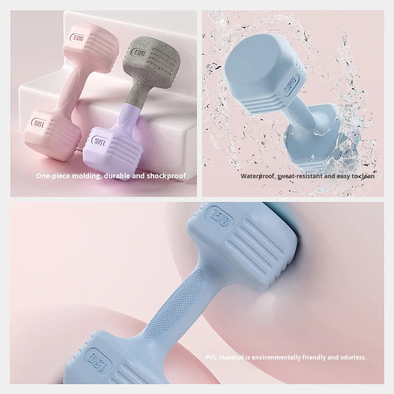 Women's Fitness Home Dumbbell Integrated Arm Muscle Training Belly Slimming Rubber Coated Small Dumbbells FKD001